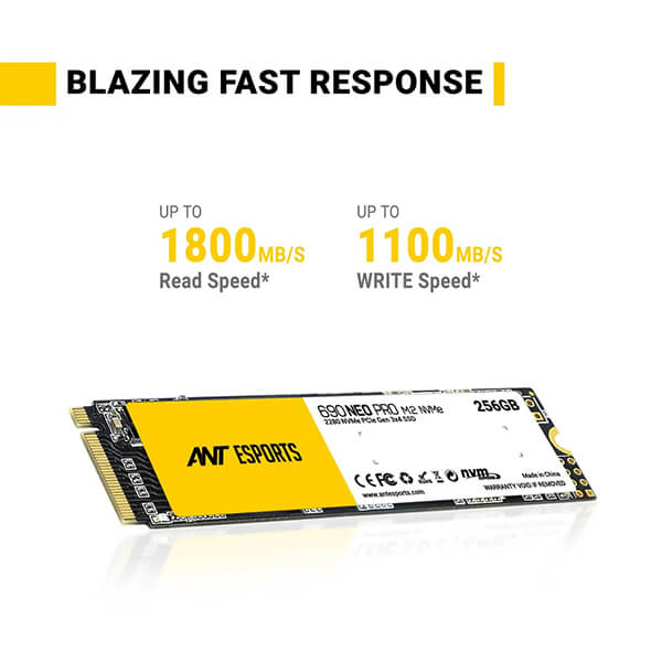 Ant Esports 690 Neo Pro 256GB M.2 NVMe SSD